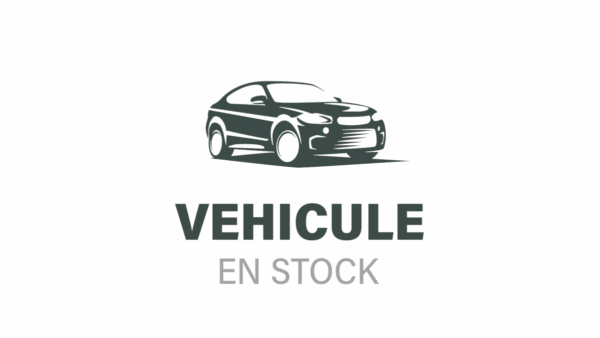 Peugeot 2008 (2)