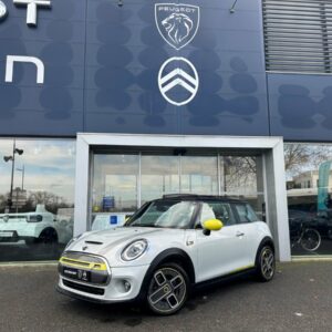Mini Mini Electric (4)