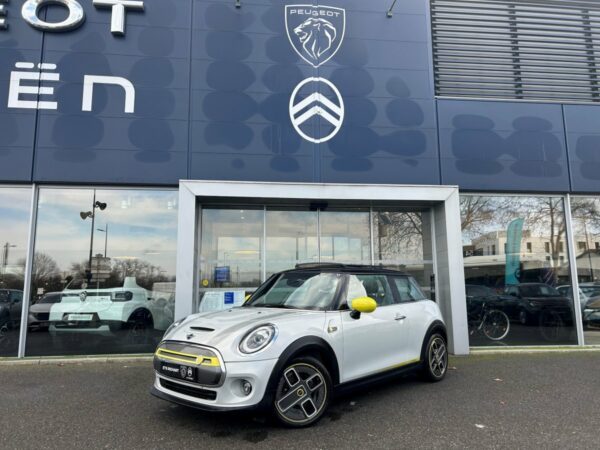 Mini Mini Electric (4)
