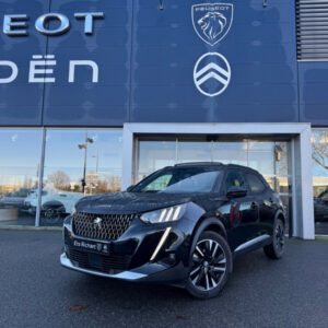 Peugeot 2008 (2)
