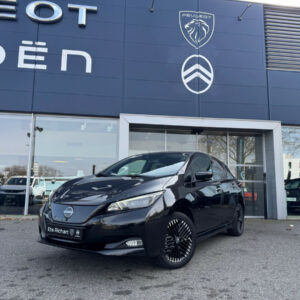 Nissan Leaf (2)