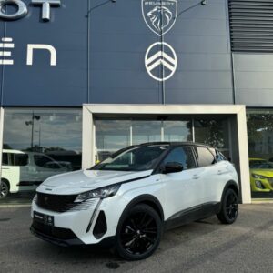Peugeot 3008 (2)