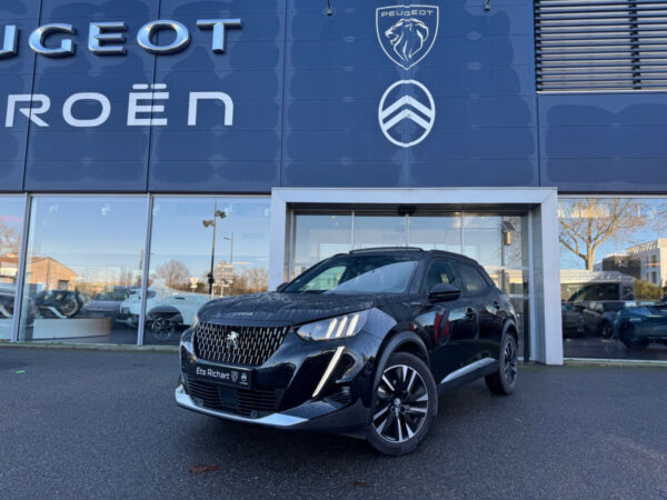 Peugeot 2008 (2)