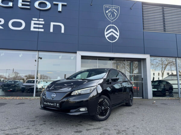 Nissan Leaf (2)