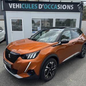 Peugeot 2008 (2)